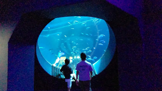 DMMかりゆし水族館に楽しんで来ました！沖縄家族旅行
