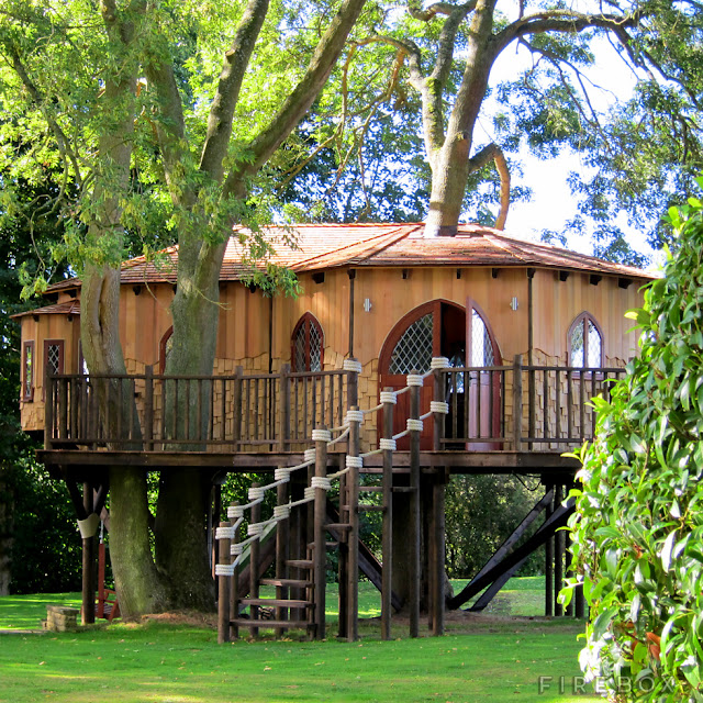 Tree House Design Form of the Bird's Nest