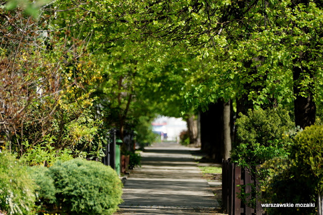 zieleń Warszawa Warsaw ulica street Żoliborz 