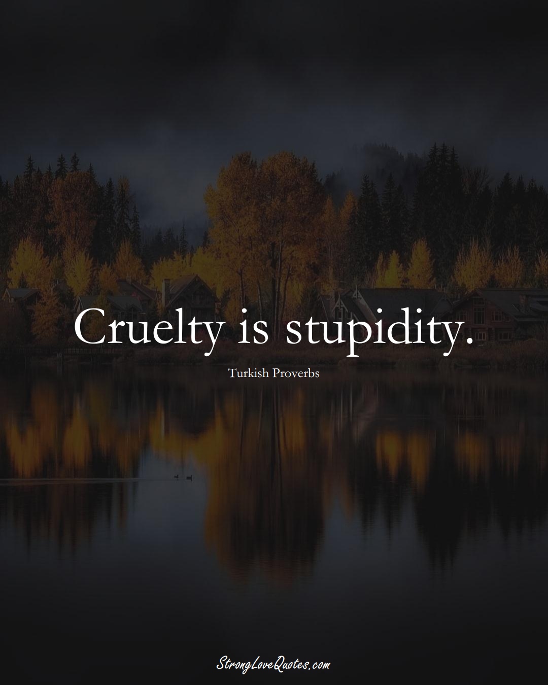 Cruelty is stupidity. (Turkish Sayings);  #MiddleEasternSayings