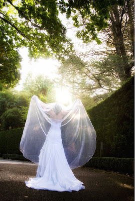 Wedding Photo