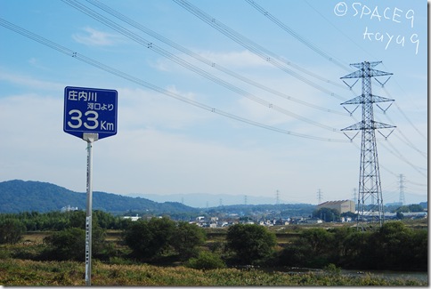 DSC_1011r
