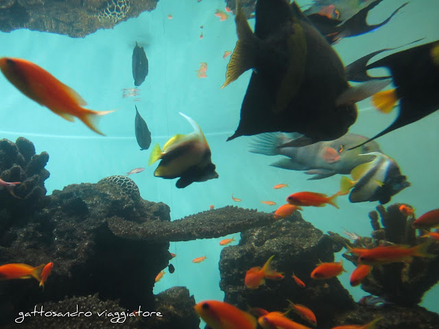 Tokyo Sea Life Park