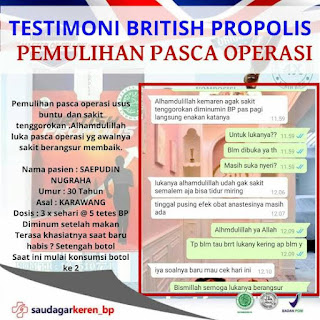 British Propolis untuk Luka Operasi