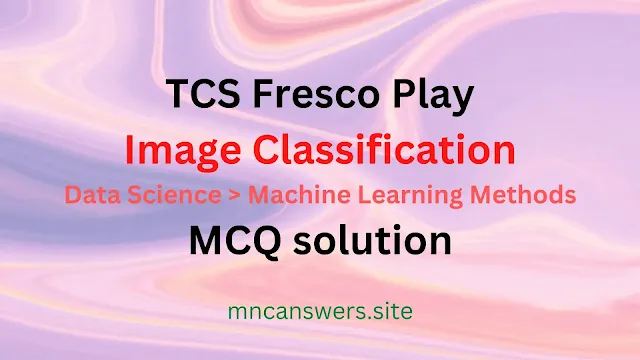 Image Classification MCQ solution | TCS Fresco Play | Fresco Play