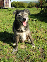 My Handsome boy ...always in my heart