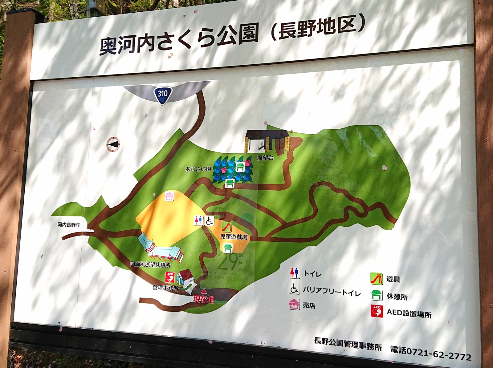 南河内探訪 長野公園 奥河内さくら公園 長野地区 河内長野市 河内長野駅の近くで桜を楽しむ