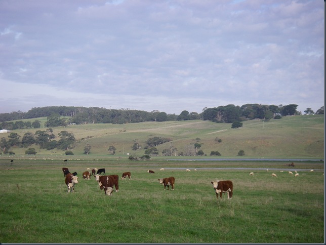 IMGP2424