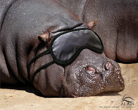 Creative Advertisement Using Animal Seen On www.coolpicturegallery.us