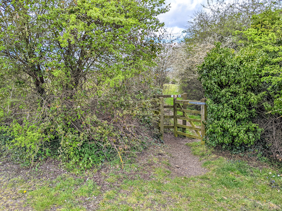 The gate where Wymondley footpath 8 continues heading N