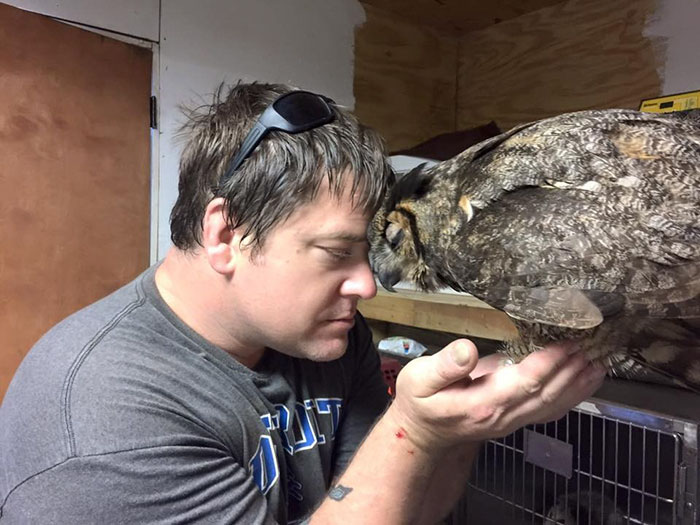 Owl Recognizes The Man Who Saved Her, Gives Him The Most Heartfelt Hug