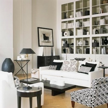 Bookshelves in Living Rooms 
