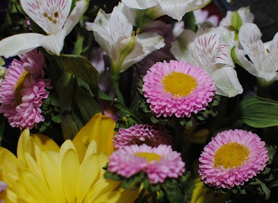 All the flowers!