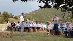 Σε απόγνωση οι κτηνοτρόφοι...Ψοφάνε από την πείνα τα αιγοπρόβατα πολλών κτηνοτρόφων σε όλη την Ελλάδα, καθώς από την μία ο κορωνοϊός, από τη...