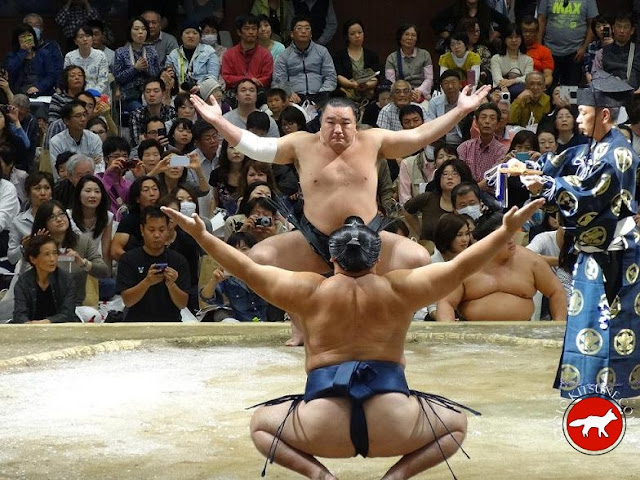 le combat des 2 yokozuna au basho de Kyoto 2015