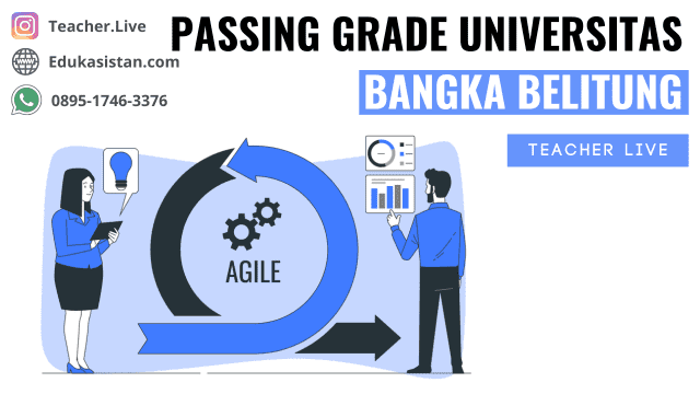 Passing Grade Universitas Bangka Belitung