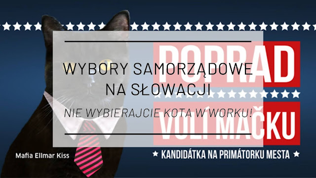 Wybory samorządowe na Słowacji: Nie wybierajcie kota w worku!