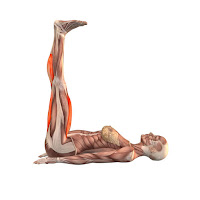 http://easy-healthcare.blogspot.com/2016/01/upward-extended-feet-pose-salamba.html