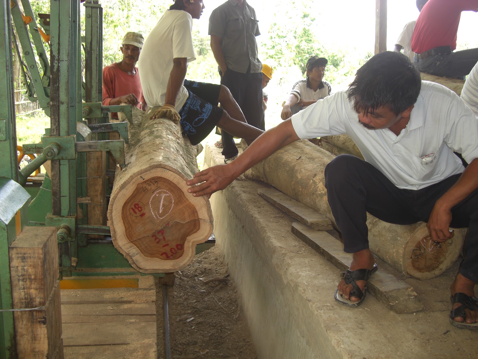 Siapa Bilang Kayu Bersertifikat Tak Laku Beritalingkungancom