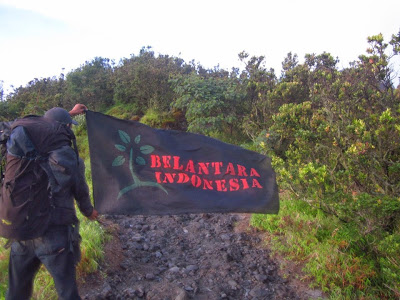 www.belantaraindonesia.org