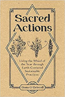Dana Driscoll Sacred Actions