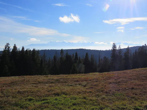 Gorc Troszacki i widok na Tatry