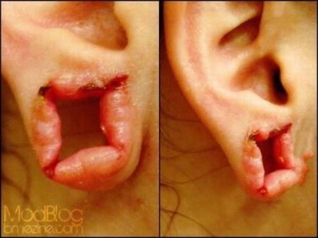 Piercings e Alargadores