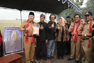 Festival Padi 2019 Gunakan 90 Pawon dan 90 Varietas Lokal, Diganjar MURI