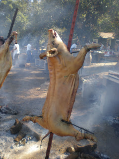 Primal, Napa