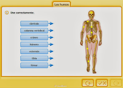 http://www.e-vocacion.es/files/html/143315/recursos/la/U03/pages/recursos/143315_P35_3/es_carcasa.html