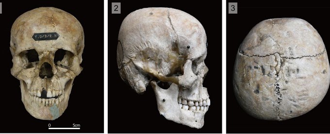 Estudo confirma que povo japonês antigo moldava propositadamente seus crânios