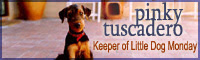 Keeper of Little Dog Monday - pinky tuscadero