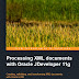 Processing XML documents with Oracle JDeveloper 11g