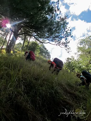 Mountaineers climbing the Akiki killer trail of Mt. Pulag in Benguet 