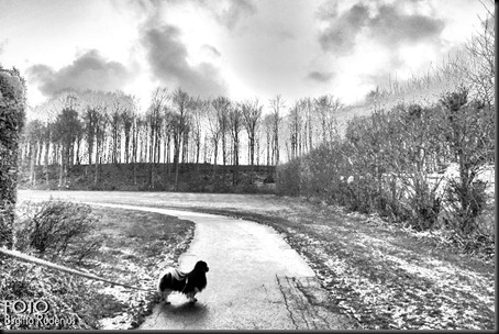 bw_20111205_milton