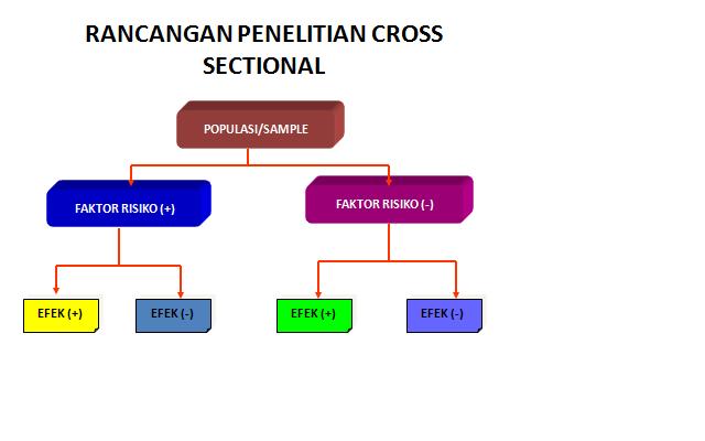 Contoh Jurnal Penelitian Cross Sectional Pdf - Surpriz Menu