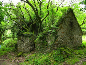 The Kerry Way walking path between Sneem and Kenmare in Ireland - 30 Abandoned Places that Look Truly Beautiful