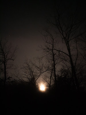 Moon in fog