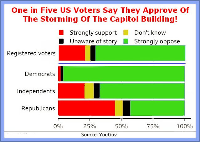 Twenty Per Cent Of USA Voters Approve Of Capitol Break In