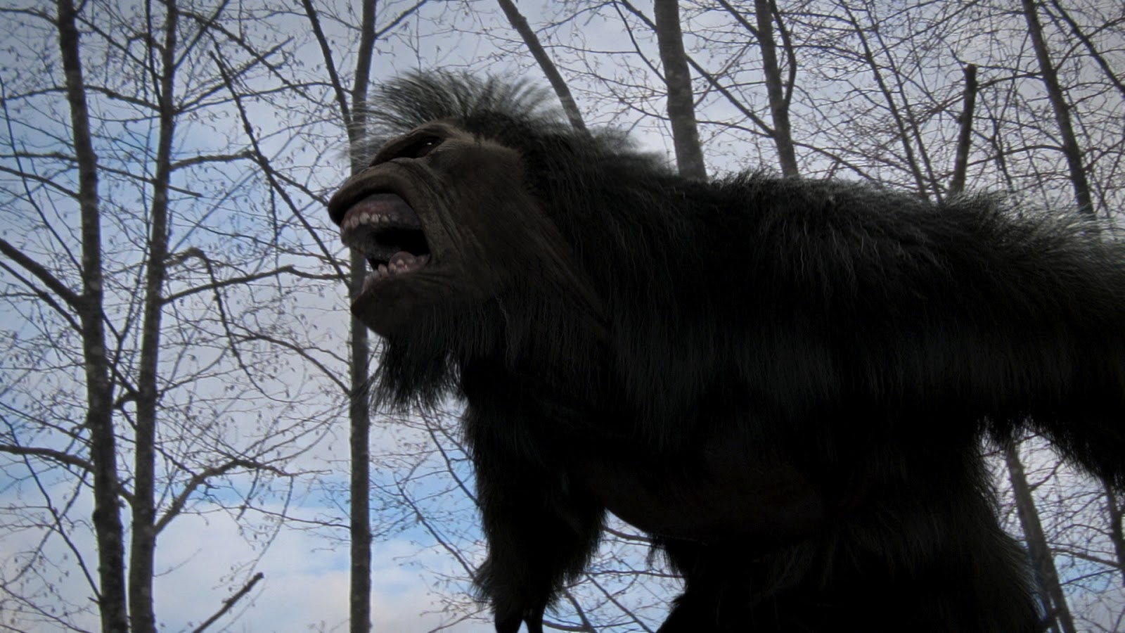 Bigfoot Movie 2012