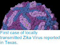 http://sciencythoughts.blogspot.co.uk/2016/12/first-case-of-locally-transmitted-zika.html