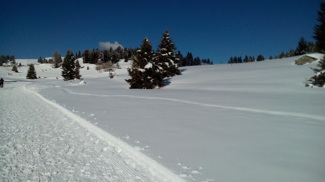 Ciaspolata a Monte Maggio, ciaspole, Folgaria