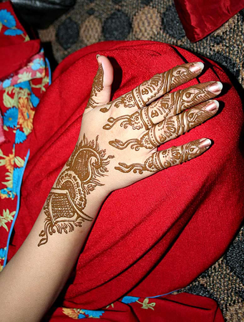 Bridle Mehndi Wallpapers Free Download