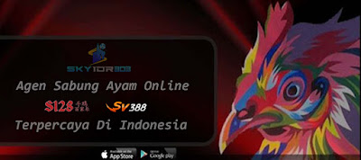 Skybet303 Situs Judi Sabung Ayam Sv388 (sv288) Terpercaya