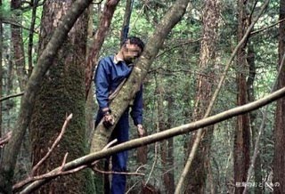 Hutan+Aokigahara 7 Tempat Paling Berhantu Di Dunia