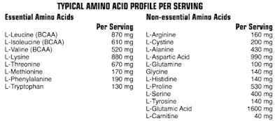 Thành phần dinh dưỡng trong viên uống tăng cơ bổ sung Amino