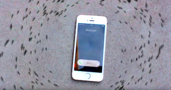 The Reason These Ants Are Circling An iPhone Is Actually Kind Of Creepy