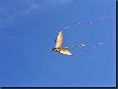 Kite Festival 2014 002