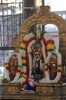 Parthasarathy Perumal, Maasi Sravanam, Thiruvonam Purappadu,  Trplicane,  Purappadu, Thiruvallikeni, Utsavam, 