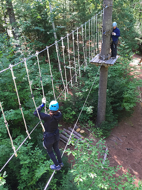 Deux participants tentant de franchir un parcours d'arbre en arbre